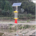 حشرة الطاقة الشمسية Zapper Lantern